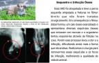 __wf__arquivos/imagens/caso_3.jpg