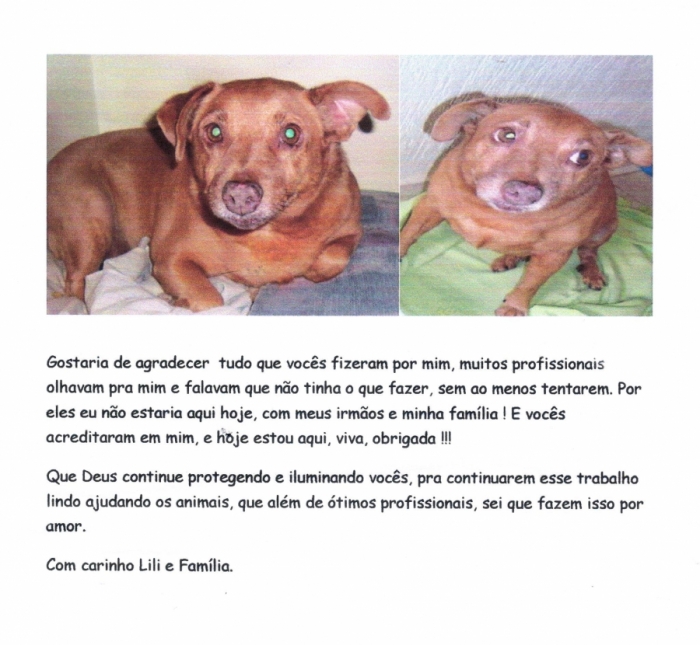 __wf__arquivos/imagens/depoimento_1___lili.jpg
