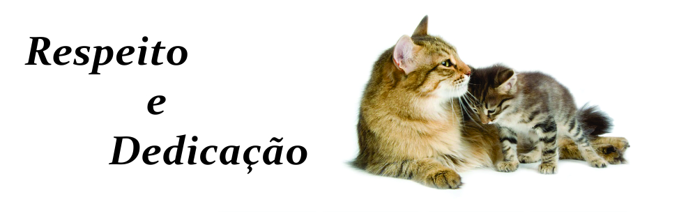 __wf__arquivos/imagens/slide_13_1.jpg