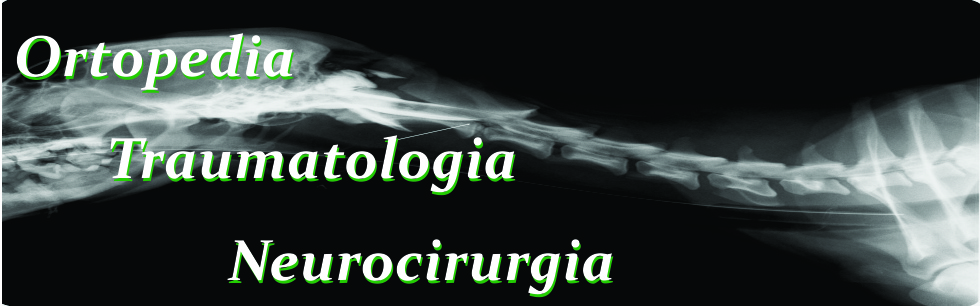 __wf__arquivos/imagens/slide_34_1.jpg